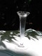 Soliflor glass vase (2)