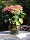 Barbotine cache-pot (flowers)